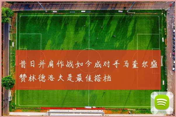 昔日并肩作战如今成对手马奎尔盛赞林德洛夫是最佳搭档